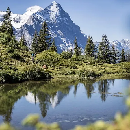 Restaurant Urweider 호텔