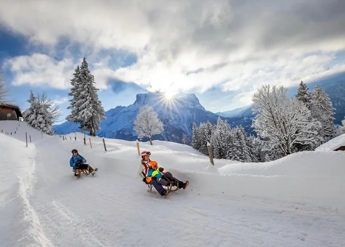 مطعم أورفايدر انترتكيرشن