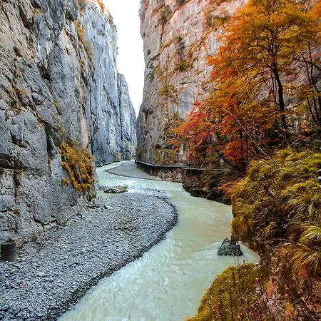 مطعم أورفايدر *