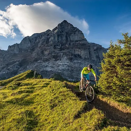 مطعم أورفايدر