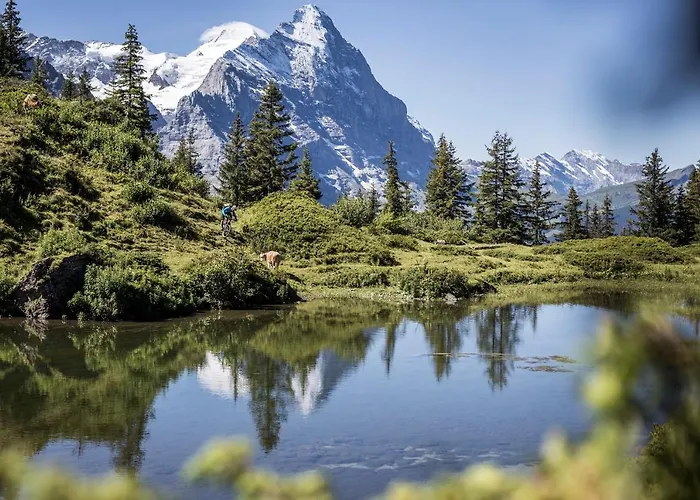 Restaurant Urweider Hotel