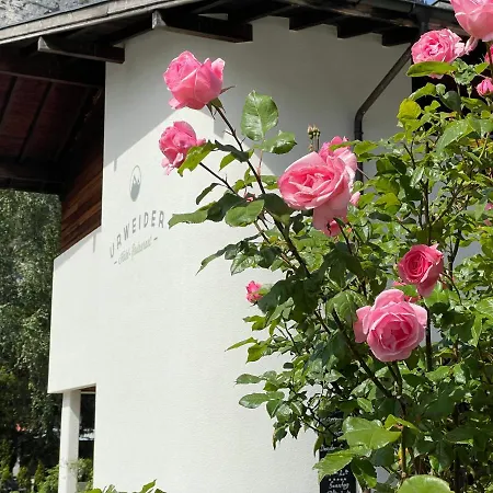 Restaurant Urweider